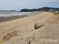 인천시, 해수욕장 20개소 수질‧백사장 모래 오염도 조사