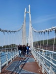 [지역명소] 충남 논산 탑정호 출렁다리 바다만큼 넓고 하늘만큼 깊은 탑정호… 동양 최장 출렁다리