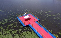 제2회 강진수국길축제, 28일 보은산 일원에서 개최