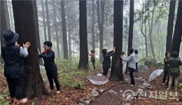 광양시, 백운산자연휴양림 전라남도 7월의 추천 관광지 선정