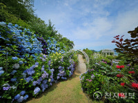 여수시, 전라남도 예쁜정원 콘테스트 2년 연속 최우수상