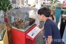 무주 반디랜드 곤충박물관, 9월 8일까지 생생 박물관 진행