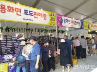 '영동포도축제' 오감만족… 달콤한 보랏빛 향기에 취하다