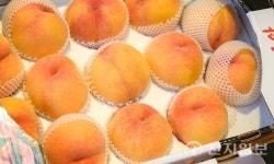 순천 특산품으로 풍성한 한가위 마음 전하세요