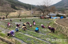곡성 죽곡면 삼태마을, 마을공동체 사업 최우수