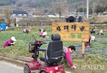 곡성 죽곡면 삼태마을, 마을공동체 사업 최우수