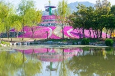 거창에서 즐기는 추석 힐링 여행...항노화힐링랜드부터 수승대까지