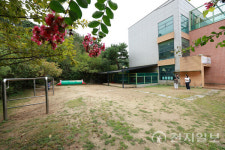 [IB 교육] 자연과 함께 배운다… 사교육 열풍 거스른 돌연변이 유치원