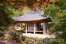 [한국명소] 고즈넉한 풍경이 머무는 곳, 담양서 만나는 사색의 시간