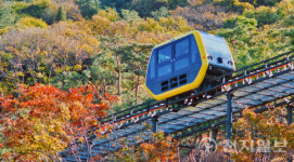 인기가수 총 출동 강화 화개정원 축제… 가을 낭만 한가득