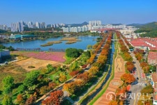[포토] 안산시의 화랑유원지 가을 단풍 정취 만끽하며 산책 즐겨요