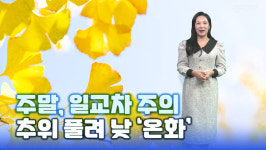 [영상-주말 날씨&산책] 반짝 추위 없이 낮 온화… 원근감 쭉쭉 뻗은 하늘공원 메타세쿼이아길