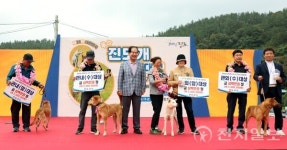 진도군 우수 진도개 선발대회 성료… 32마리 선정