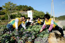 2026여수세계섬박람회 성공 기원, 화양면 도시숲 겨울 정원 조성