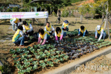 2026여수세계섬박람회 성공 기원, 화양면 도시숲 겨울 정원 조성