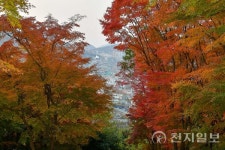 [포토] 울긋불긋 단풍으로 물든 여수 자산공원