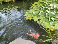 [포토스토리] 2024년 보내며 환란 속 움트는 새 희망을 노래하다