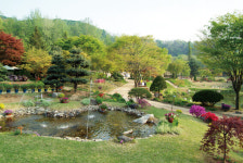 21년 만에 재개되는 교외선, 경기 북부 관광의 새로운 활력소