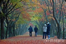 내장산국립공원 한국관광 100선 6년 연속 선정… 사계절 매력 쾌거