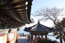 여수시, 향일암·사도 등 국가지질공원 지정 추진