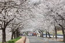 무주군 금강변 마실길 맨발 걷기 길 조성… 4월 준공 예정