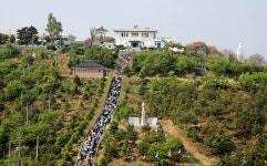 강원도, 2월 추천 여행지로 인제 자작나무숲과 고성 통일전망대 선정