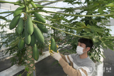 농촌 위기 돌파구… 장수, 스마트팜·청년농 육성 박차