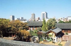 대구향교, 600년 석전대제 전통의 숨결을 잇다