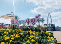 임실 옥정호 출렁다리·붕어섬 재개장 후 4800명 방문… 벚꽃축제 기대감↑