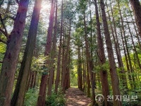 정읍 내장산에 깃든 봄기운… 8봉 종주·산천유수길 매력 속으로