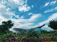 고래마을의 변신, 울산이 관광 명소로 거듭나