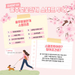 벚꽃 아래서 찍고, 타고, 즐긴다! 울주군 봄을 걷다 체험형 투어 눈길