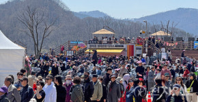 임실방문의 해 옥정호 벚꽃축제, 이틀간 3만 5000여명 방문