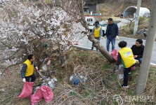 [포토] 신천지 자원봉사단, 청평면 고재길 환경 정화 활동