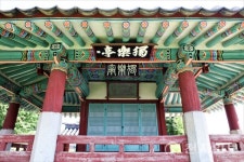 세종시, 4월 봄빛 문화 시민참여형 행사 풍성