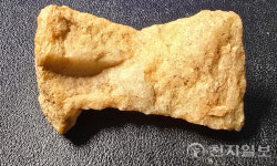 [문화-단독] 서울 안산에서 첫 후기 구석기 대단위 유적 찾아