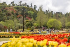 순천이 차린 봄… 오감이 머무는 계절의 밥상