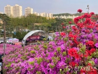 [한국명소] 분홍빛 향연, 군포 철쭉동산