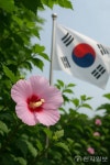 태극기와 함께 피는 나라꽃 무궁화, 다시 우리 곁에