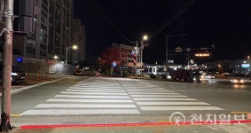 부산 남구, 용호로 일대 바닥형 보행신호등 설치 완료