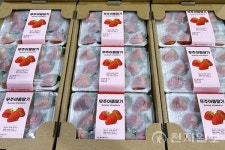 무주군, 첨단 냉방 기술 접목 여름딸기 생산 해외 시장 공략