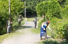 신천지자원봉사단 청평지부, 고성리 제초 봉사 10년째 이어가