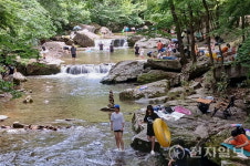 순창 강천산군립공원, 여름 성수기 관광객 맞이 준비 만전