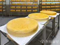 천만관광 실현 앞둔 임실… 관광·정주·산업 삼각벨트 구축