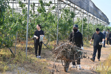 충남도 대변인실, 예산 폭우 피해 복구에 구슬땀