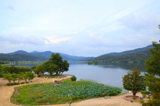 [여행을 떠나요] 숲과 꽃, 강물이 어우러진 치유의 길...양평에서 만나는 쉼과 사색