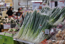 [포토] 8월 소비자물가 1.7% 상승