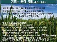 [땅이름 산책 ] (3) 경기도 김포: 검개란 이름이 검포 금포로 이어져