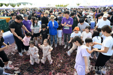안산시 대부포도축제 30주년, 사흘간 2만 4000여명 발길