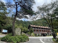 [지역탐방] 양평 산음자연휴양림, 산 그늘서 배우는 치유… 숲이 선사하는 회복의 힘